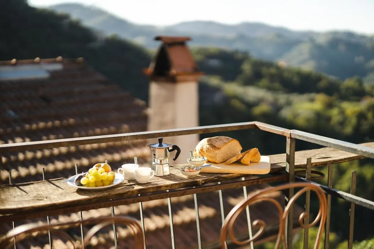 Holiday home Peralta Tuscany Camaiore Italy