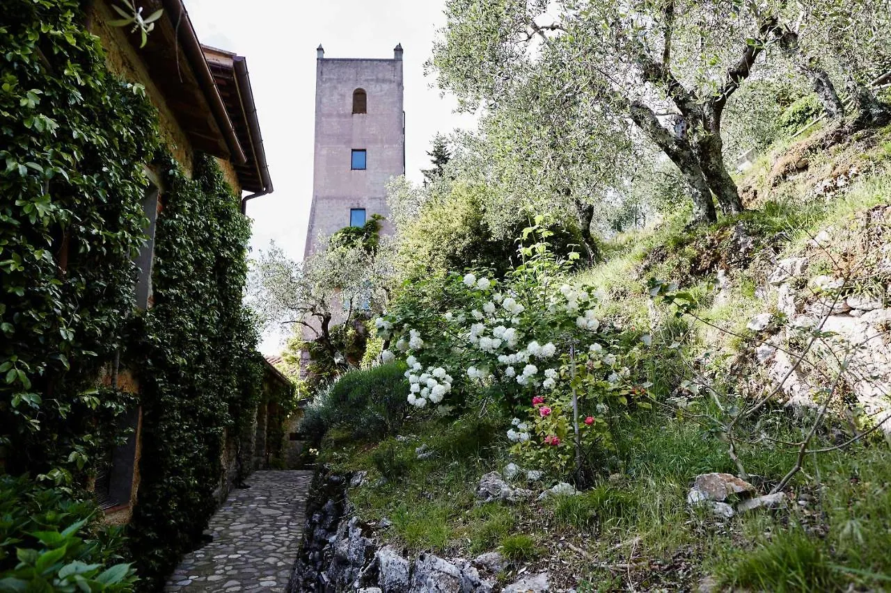 Peralta Tuscany Camaiore Italy