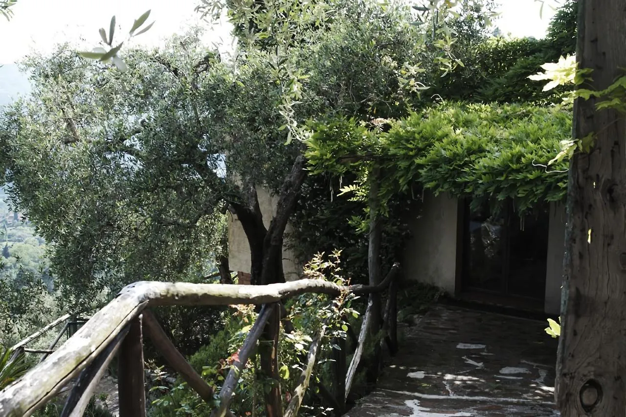 Peralta Tuscany Camaiore Holiday home