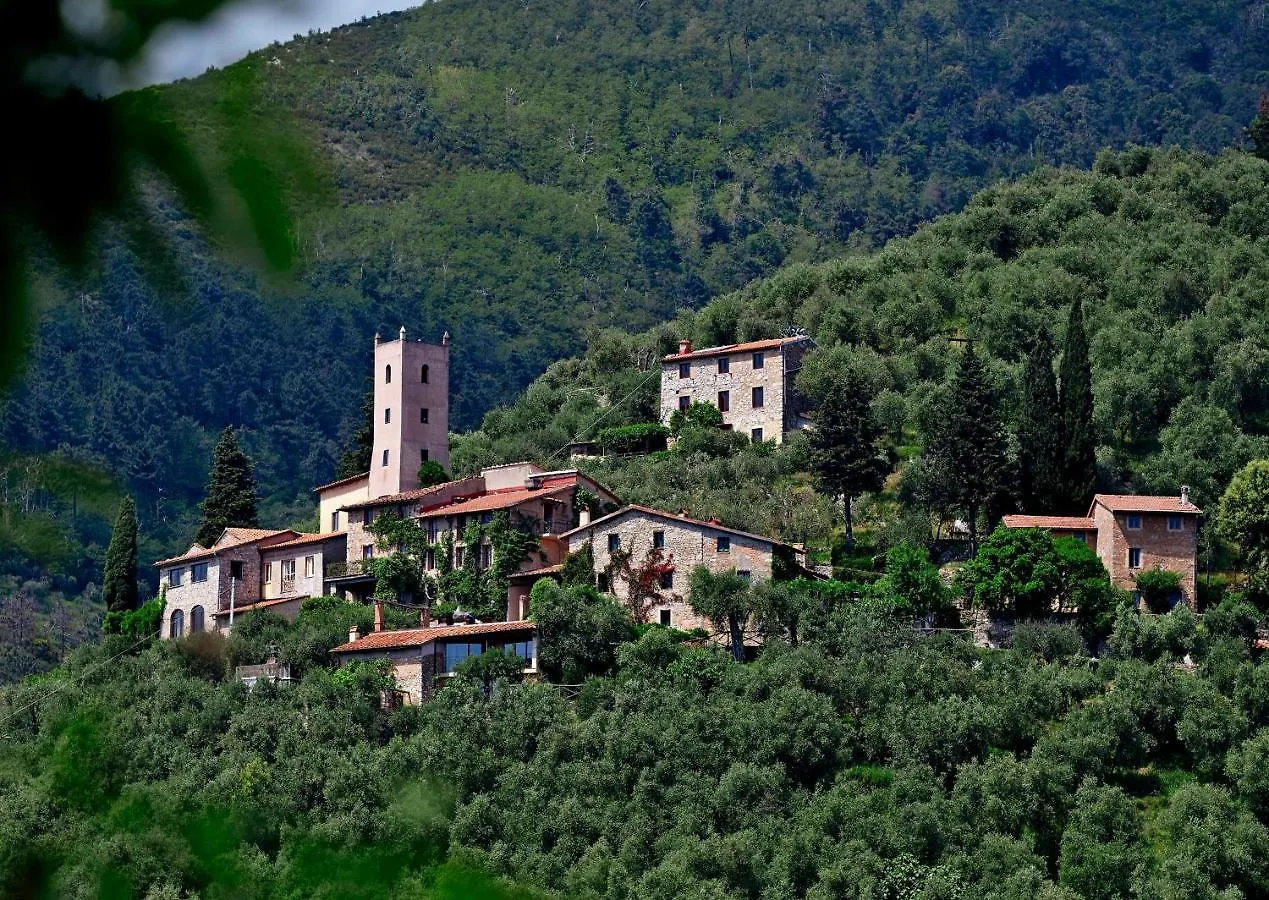 Peralta Tuscany Camaiore