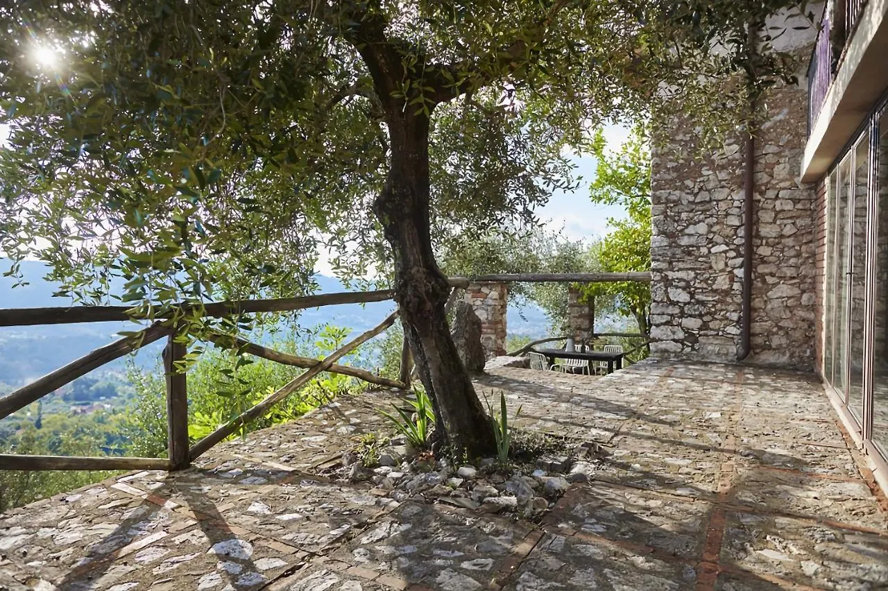 Peralta Tuscany Camaiore